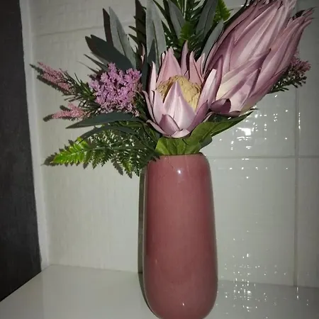 Downtown Lux * Σμεντέρεβο