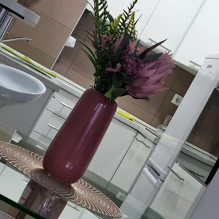 Downtown Lux アパート *