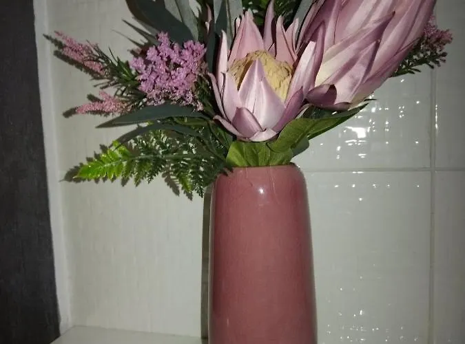 Downtown Lux * Σμεντέρεβο