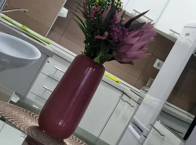 Downtown Lux Διαμέρισμα *